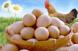 疫情的双重效应，2020年的鸡蛋价格进入新周期？「图」