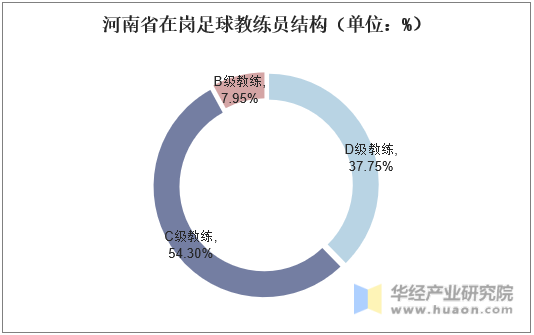 河南省在岗足球教练员结构（单位：%）