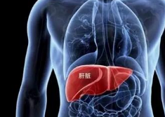 2020年中国丙型肝炎发病数量、死亡人数、死亡率及疫苗研究进展「图」