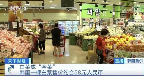 9月12日，央视新闻报道指出，根据韩国农村经济研究院9月11日发布的报告，受气候环境影响，今年韩国辣椒的收获量较往年减少50%，导致价格暴涨一倍，大葱价格也同比翻了一番。特别是，韩国市场需求量较大的白菜较去年同期减产约11.4%，价格同比大幅增长97.5%。