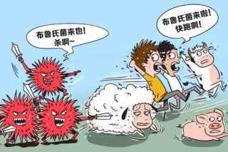 2020年中国布鲁氏菌病发病数量、死亡人数、疫苗研究进展及防控措施「图」