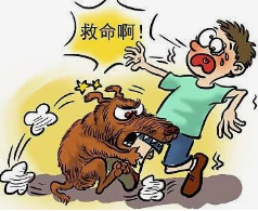 2020年中国狂犬病发病数量、死亡人数、死亡率及防疫措施「图」