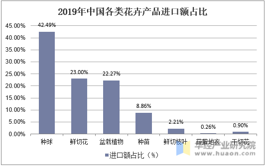 2019年中国各类花卉产品进口额占比