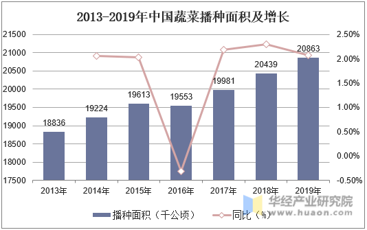 2013-2019年中国蔬菜播种面积及增长