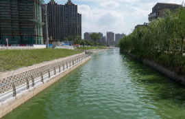 2020年中国黑臭水体治理行业市场现状分析，生物生态法治理是主要方向「图」