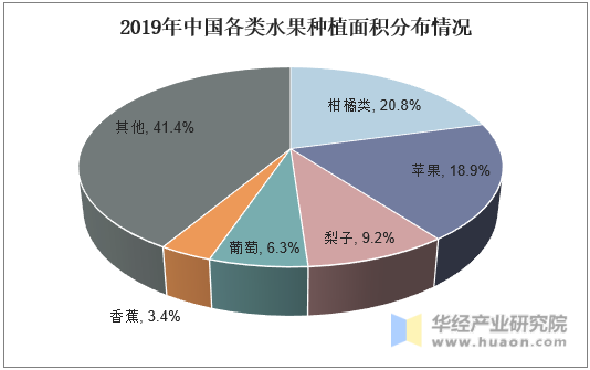 2019年中国各类水果种植面积分布情况