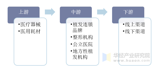 植发行业产业链