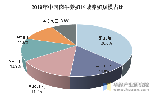 2019年中国肉牛养殖区域养殖规模占比