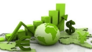 鲁政委：绿色信贷助推我国“碳达峰”