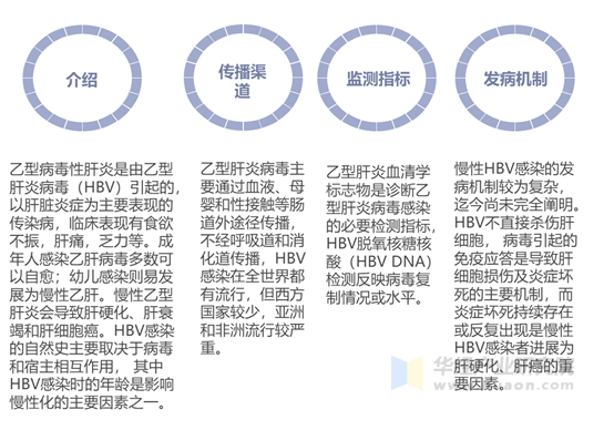 乙型病毒肝炎介绍