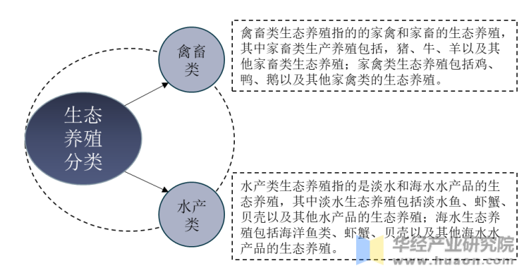 生态养殖分类