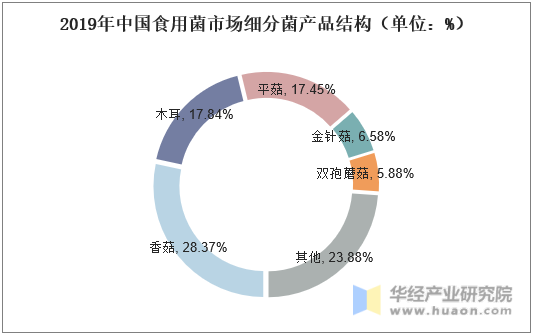 2019年中国食用菌市场细分菌产品结构（单位：%）