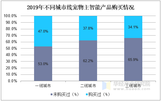 2019年不同城市线宠物主智能产品购买情况