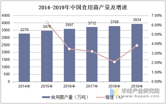 2014-2019年中国食用菌产量及增速