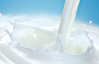 奶价持续上涨原奶企业受益现代牧业预计去年盈利翻倍