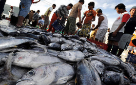 2019年中国海洋捕捞行业发展现状研究，海洋捕捞产量逐年下降「图」