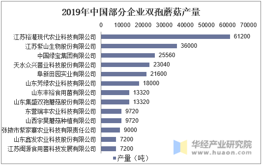2019年中国部分企业双孢蘑菇产量