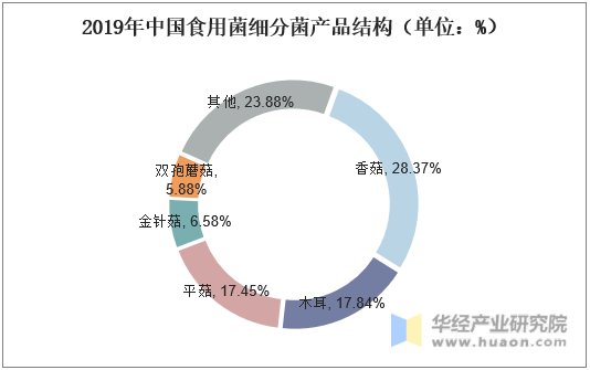 2019年中国食用菌细分菌产品结构（单位：%）