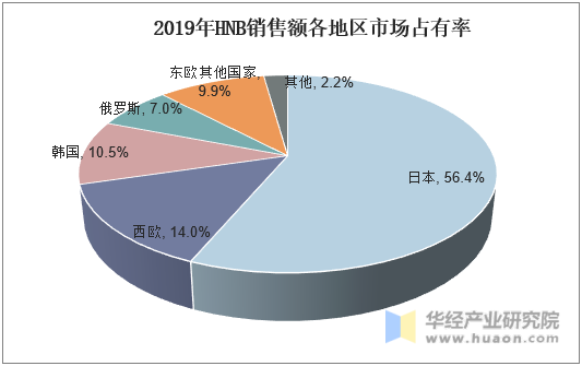 2019年HNB销售额各地区市场占有率