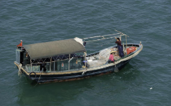 2019年江苏省非机动渔船拥有量最高，远超其他省市「图」