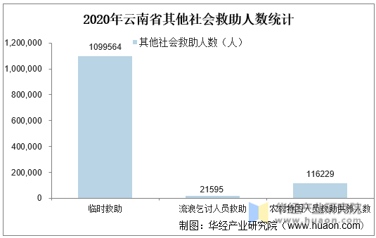 2020年云南省其他社会救助人数统计