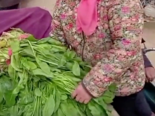农民卖菠菜，1300斤15元，菜贩：行情就这样，没办法