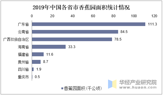 2019年中国各省市香蕉园面积统计情况