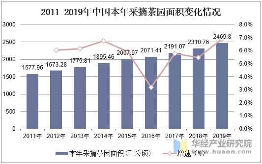 2011-2019年中国本年采摘茶园面积变化情况