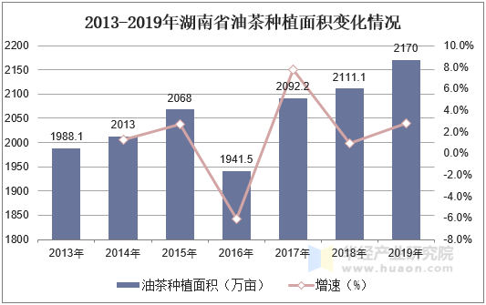 2013-2019年湖南省油茶种植面积变化情况