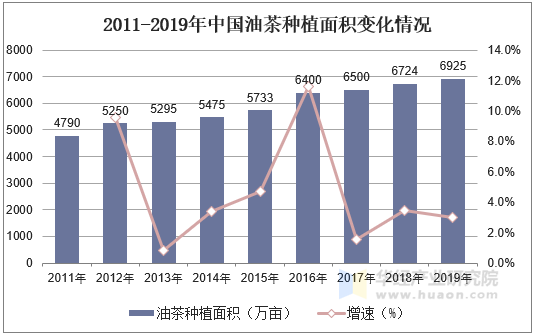 2011-2019年中国油茶种植面积变化情况