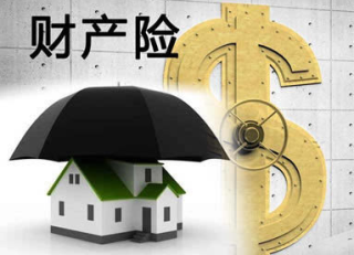 2021年中国财产保险行业发展现状研究，产险结构持续优化「图」