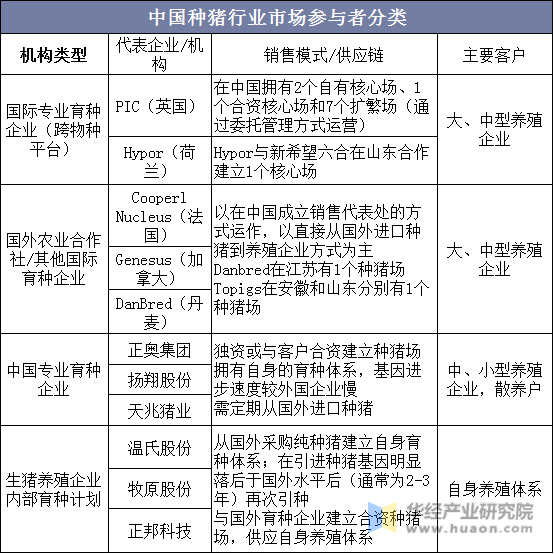 中国种猪行业市场参与者分类