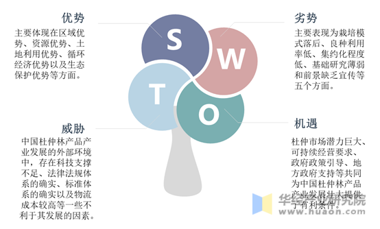 杜仲林产品产业SWOT分析
