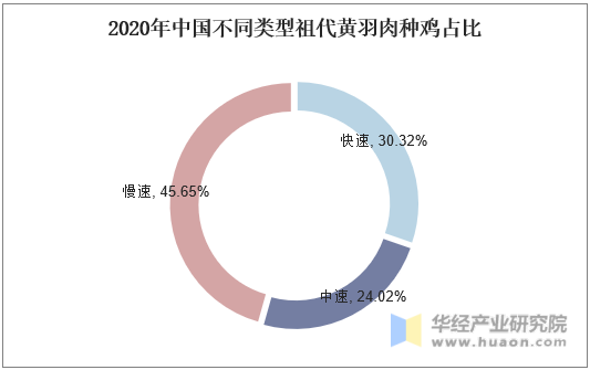 2020年中国不同类型祖代黄羽肉种鸡占比