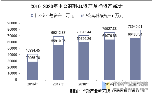 2016-2020年中公高科总资产及净资产统计
