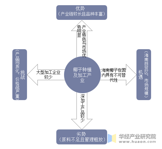 海南椰子种植与加工业的SWOT分析