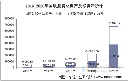2016-2020年国联股份总资产及净资产统计