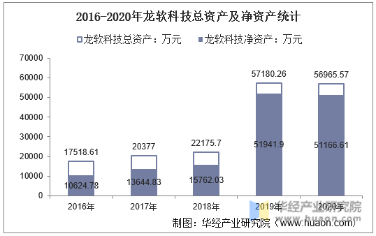 2016-2020年龙软科技总资产及净资产统计