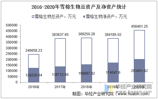 2016-2020年雪榕生物总资产及净资产统计