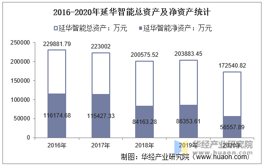 2016-2020年延华智能总资产及净资产统计