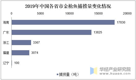 2019年中国各省市金枪鱼捕捞量变化情况