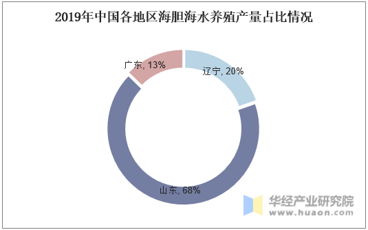 2019年中国各地区海胆海水养殖产量占比情况