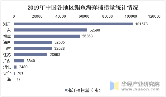 2019年中国各地区鲳鱼海洋捕捞量统计情况