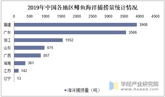 2019年中国各地区鲱鱼海洋捕捞量统计情况
