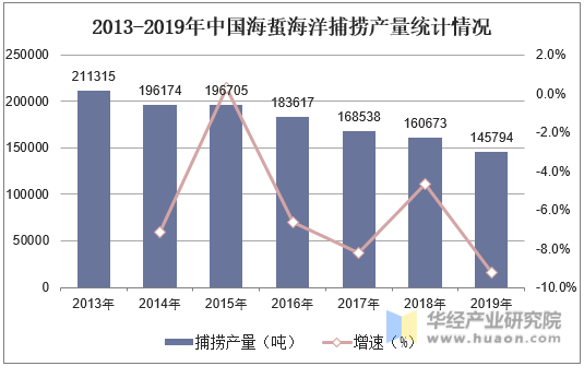 2013-2019年中国海蜇海洋捕捞产量统计情况