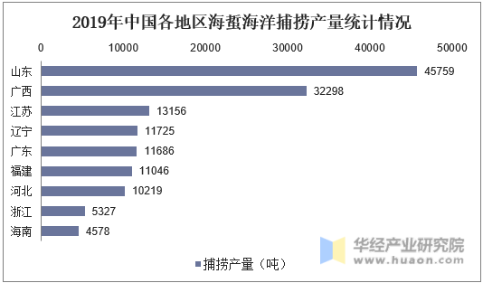 2019年中国各地区海蜇海洋捕捞产量统计情况