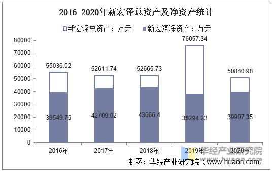 2016-2020年新宏泽总资产及净资产统计