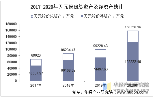 2017-2020年天元股份总资产及净资产统计