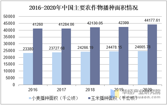 2016-2020年中国主要农作物播种面积情况
