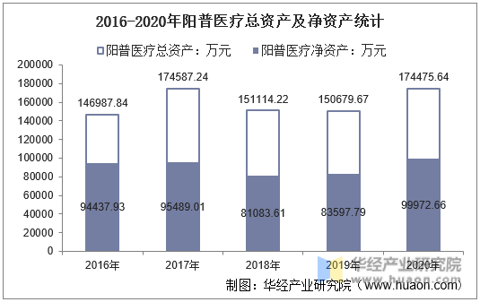 2016-2020年阳普医疗总资产及净资产统计